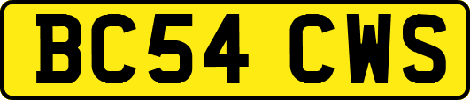 BC54CWS