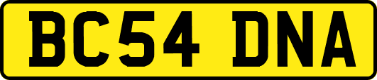 BC54DNA