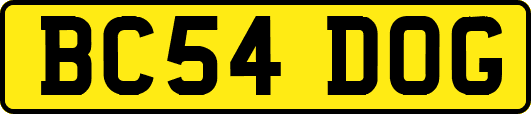BC54DOG