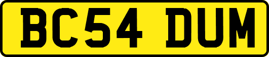 BC54DUM