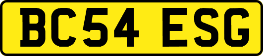 BC54ESG