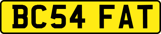 BC54FAT