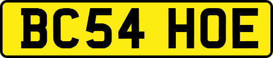 BC54HOE