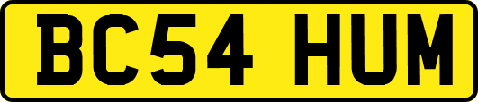 BC54HUM