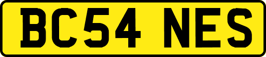 BC54NES