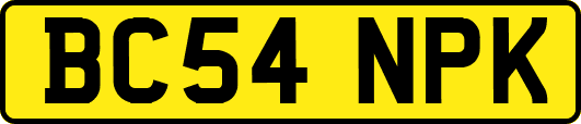 BC54NPK