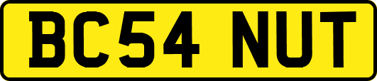 BC54NUT