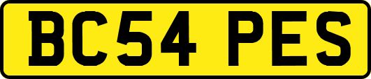 BC54PES