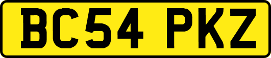 BC54PKZ