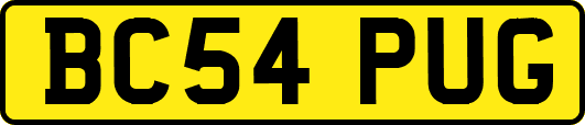 BC54PUG