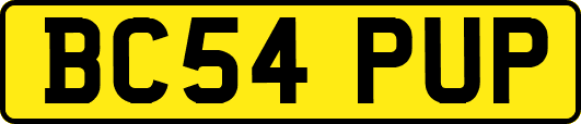 BC54PUP