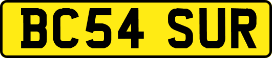 BC54SUR