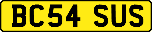 BC54SUS