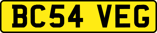 BC54VEG