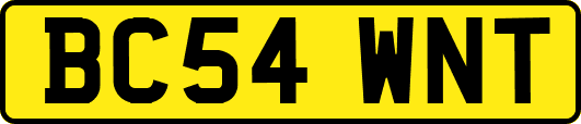 BC54WNT