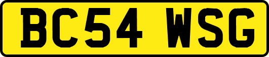 BC54WSG