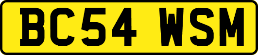 BC54WSM