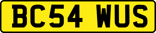 BC54WUS