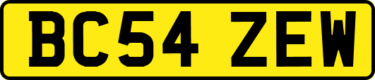 BC54ZEW