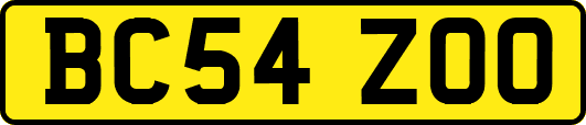 BC54ZOO