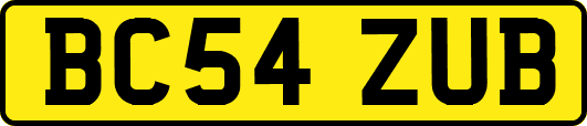 BC54ZUB