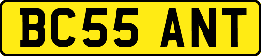BC55ANT