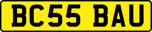 BC55BAU