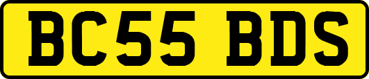 BC55BDS