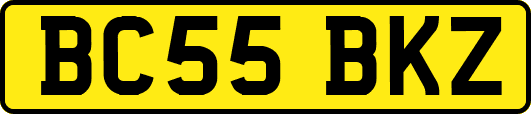 BC55BKZ