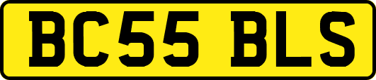 BC55BLS