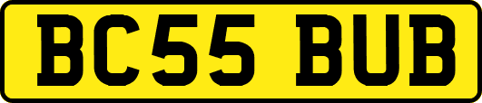 BC55BUB