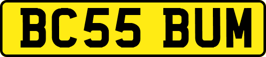 BC55BUM