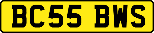 BC55BWS