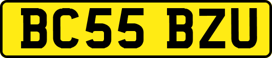 BC55BZU