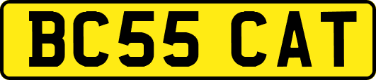 BC55CAT