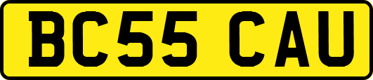 BC55CAU