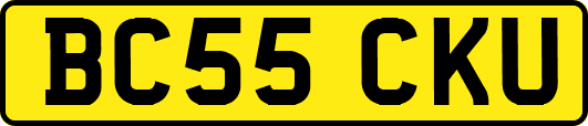 BC55CKU