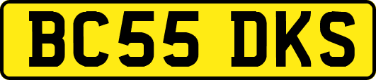 BC55DKS