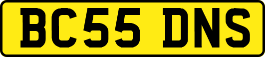BC55DNS
