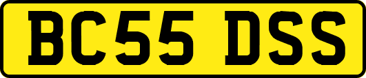 BC55DSS