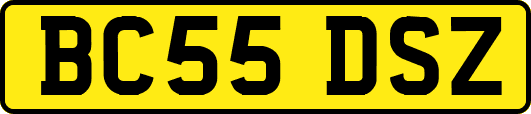 BC55DSZ