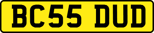 BC55DUD