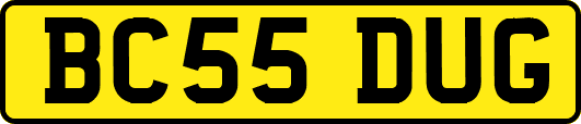 BC55DUG
