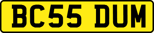 BC55DUM