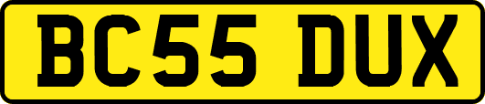 BC55DUX