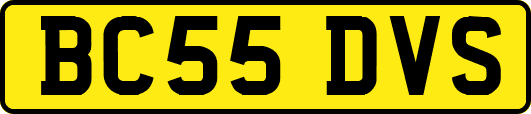 BC55DVS