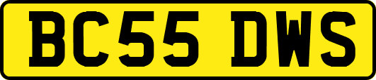 BC55DWS