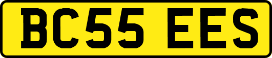 BC55EES