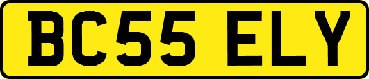 BC55ELY