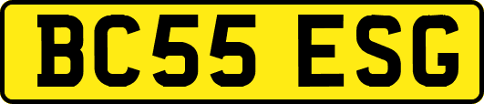 BC55ESG